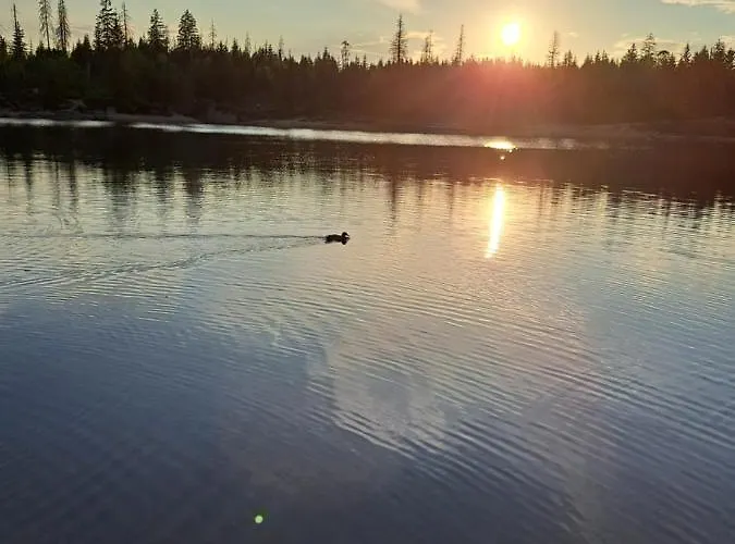 Dahls Sankt-Andreasberg